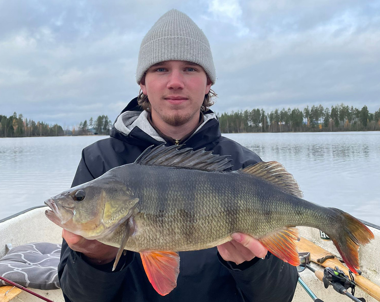 Molix RT Shad 3.5' (9cm)